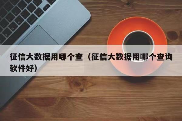 飛雪快查-個人大數據風險查詢！
